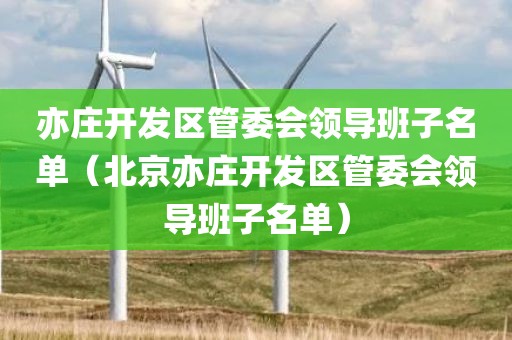 亦庄开发区管委会领导班子名单（北京亦庄开发区管委会领导班子名单）