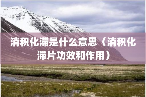 消积化滞是什么意思（消积化滞片功效和作用）