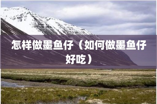 怎样做墨鱼仔（如何做墨鱼仔好吃）