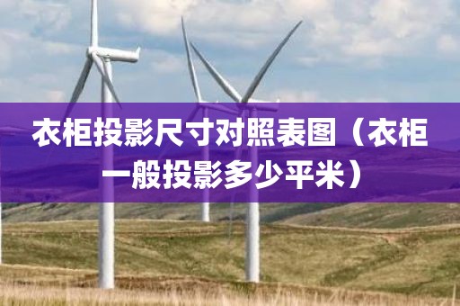 衣柜投影尺寸对照表图（衣柜一般投影多少平米）