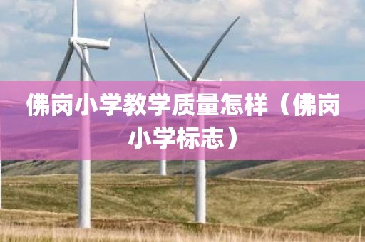 佛岗小学教学质量怎样（佛岗小学标志）