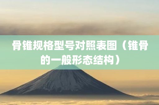 骨锥规格型号对照表图（锥骨的一般形态结构）