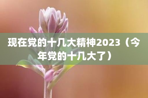 现在党的十几大精神2023（今年党的十几大了）