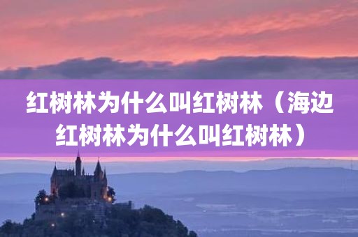 红树林为什么叫红树林（海边红树林为什么叫红树林）