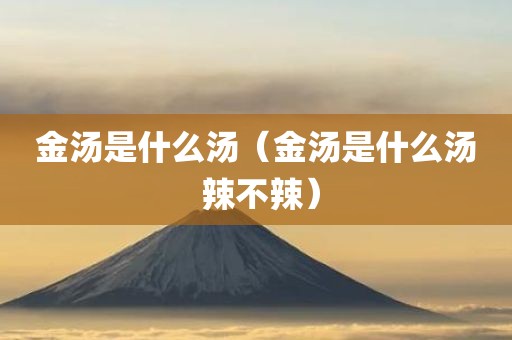 金汤是什么汤（金汤是什么汤 辣不辣）