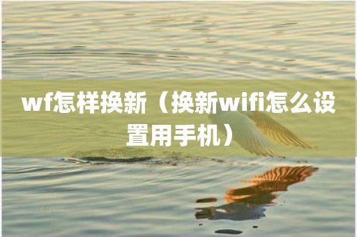 wf怎样换新（换新wifi怎么设置用手机）