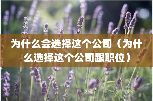 为什么会选择这个公司（为什么选择这个公司跟职位）