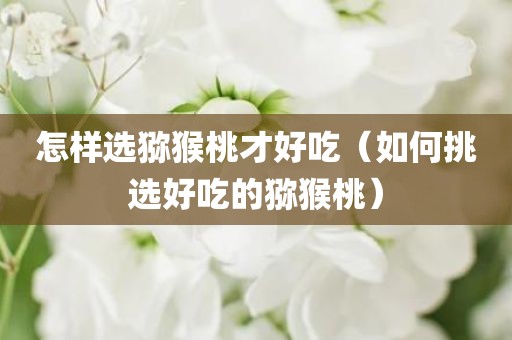 怎样选猕猴桃才好吃（如何挑选好吃的猕猴桃）