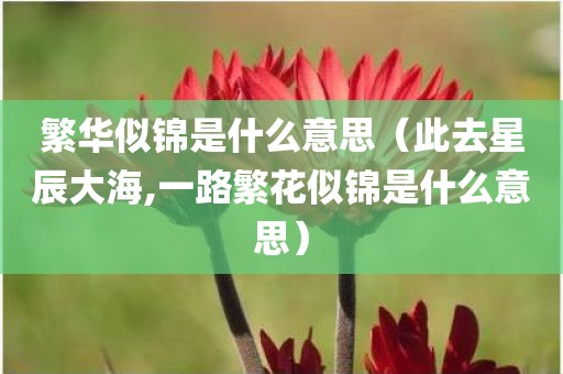 繁华似锦是什么意思（此去星辰大海,一路繁花似锦是什么意思）