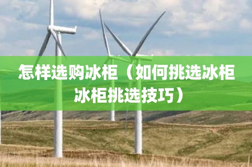 怎样选购冰柜（如何挑选冰柜 冰柜挑选技巧）