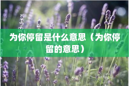 为你停留是什么意思（为你停留的意思）