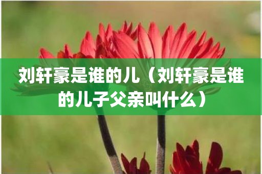 刘轩豪是谁的儿（刘轩豪是谁的儿子父亲叫什么）