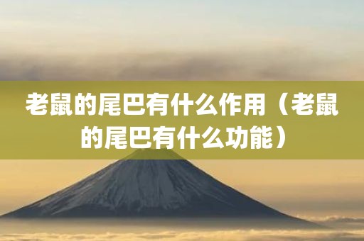老鼠的尾巴有什么作用（老鼠的尾巴有什么功能）