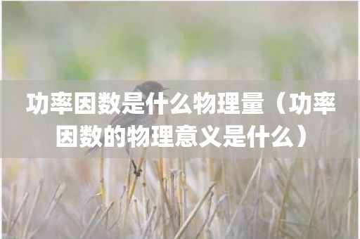 功率因数是什么物理量（功率因数的物理意义是什么）
