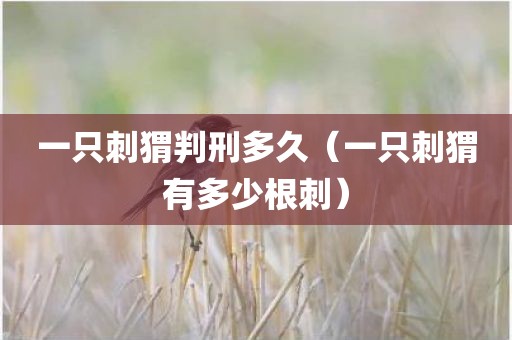 一只刺猬判刑多久(一只刺猬有多少根刺) - 图小雯知识