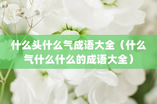 什么头什么气成语大全（什么气什么什么的成语大全）