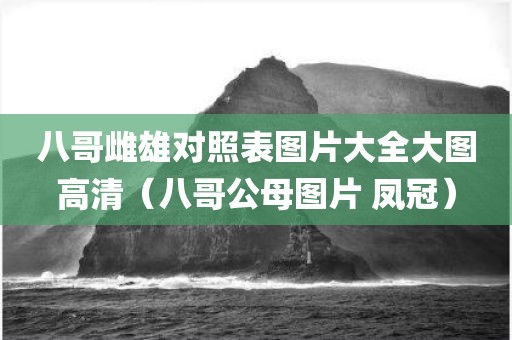 八哥雌雄对照表图片大全大图高清（八哥公母图片 凤冠）