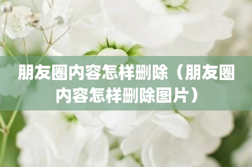朋友圈内容怎样删除（朋友圈内容怎样删除图片）