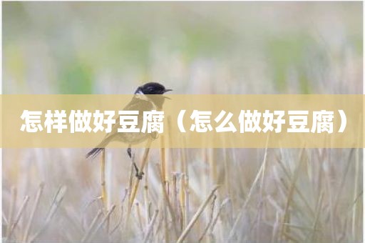 怎样做好豆腐（怎么做好豆腐）
