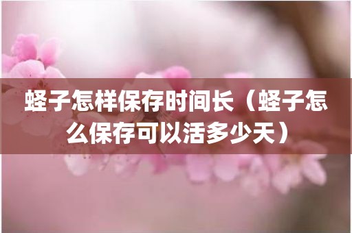 蛏子怎样保存时间长（蛏子怎么保存可以活多少天）