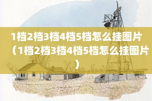 1档2档3档4档5档怎么挂图片（1档2档3档4档5档怎么挂图片）