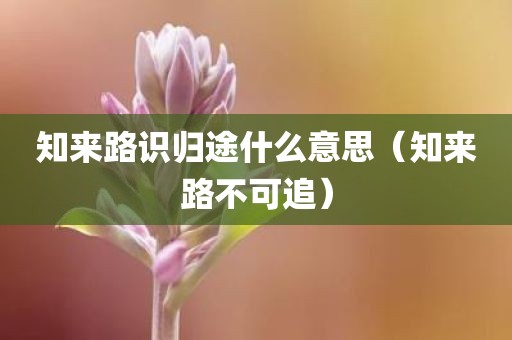 知来路识归途什么意思（知来路不可追）
