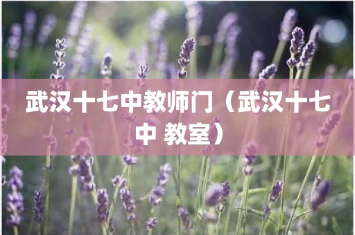 武汉十七中教师门（武汉十七中 教室）
