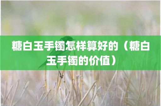糖白玉手镯怎样算好的（糖白玉手镯的价值）