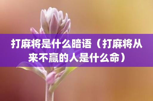打麻将是什么暗语（打麻将从来不赢的人是什么命）