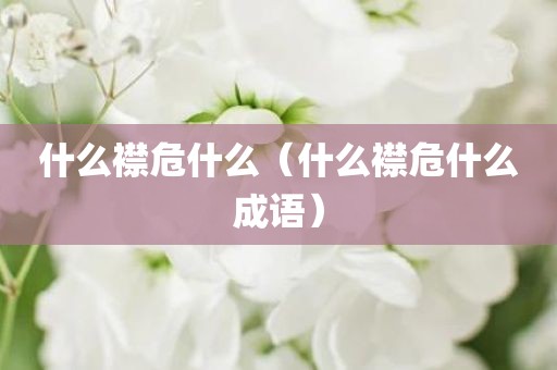 什么襟危什么（什么襟危什么成语）