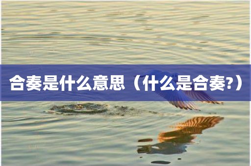合奏是什么意思(什么是合奏?)