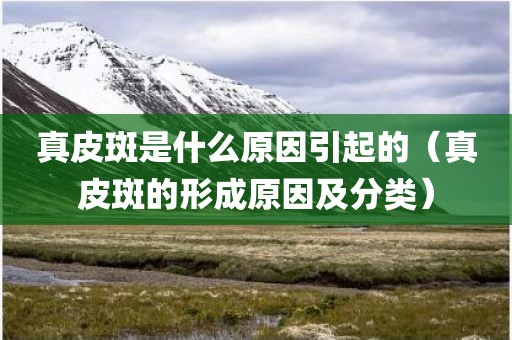 真皮斑是什么原因引起的（真皮斑的形成原因及分类）