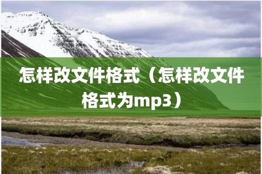 怎样改文件格式（怎样改文件格式为mp3）