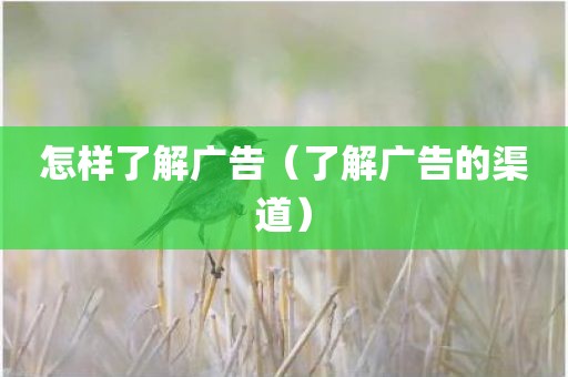 怎样了解广告（了解广告的渠道）