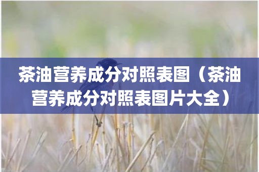 茶油营养成分对照表图（茶油营养成分对照表图片大全）