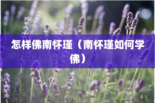 怎样佛南怀瑾(南怀瑾如何学佛)