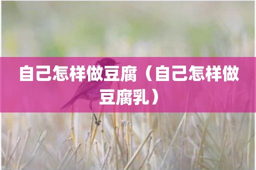 自己怎样做豆腐（自己怎样做豆腐乳）