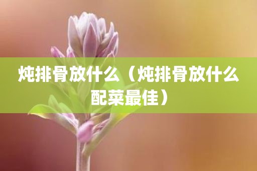 炖排骨放什么（炖排骨放什么配菜最佳）