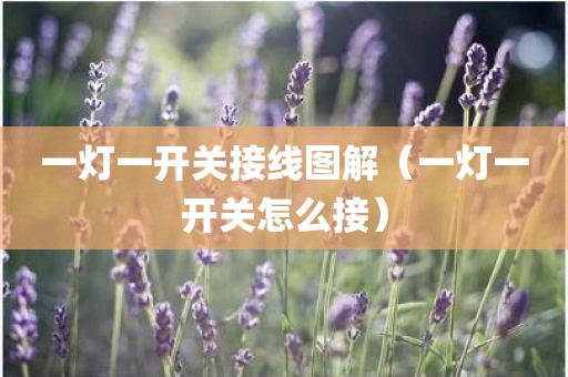 一灯一开关接线图解（一灯一开关怎么接）