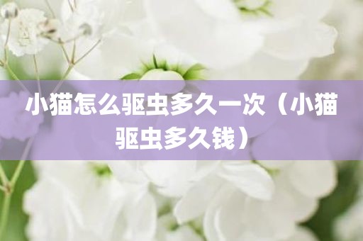 小猫怎么驱虫多久一次（小猫驱虫多久钱）