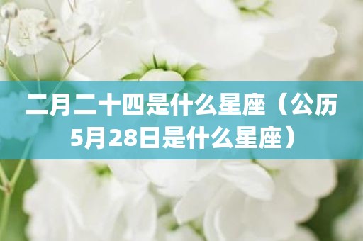 二月二十四是什么星座（公历5月28日是什么星座）