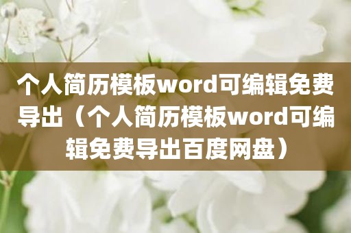 个人简历模板word可编辑免费导出（个人简历模板word可编辑免费导出百度网盘）