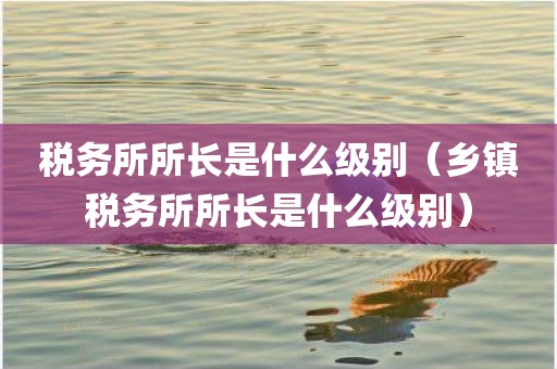 税务所所长是什么级别(乡镇税务所所长是什么级别)