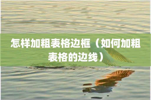 怎样加粗表格边框（如何加粗表格的边线）