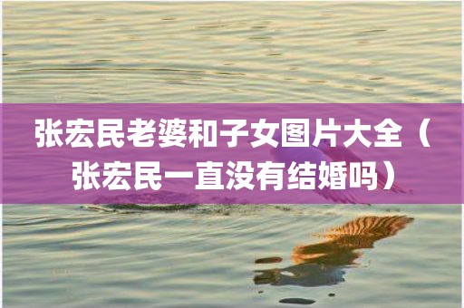 张宏民老婆和子女图片大全（张宏民一直没有结婚吗）
