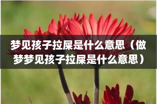 梦见孩子拉屎是什么意思（做梦梦见孩子拉屎是什么意思）