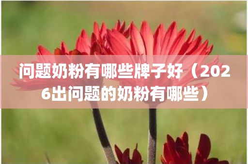问题奶粉有哪些牌子好（2026出问题的奶粉有哪些）