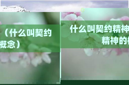什么叫契约精神（什么叫契约精神的概念）