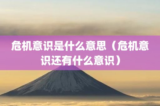 危机意识是什么意思（危机意识还有什么意识）