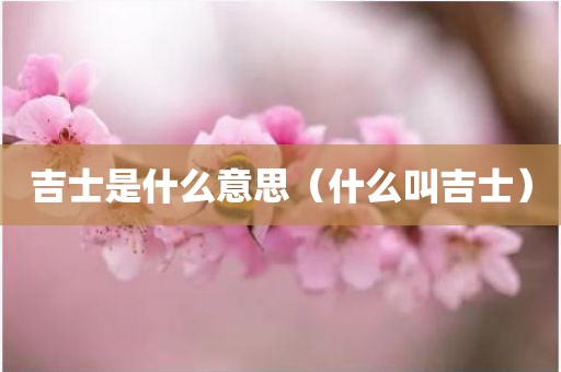 吉士是什么意思（什么叫吉士）